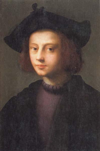 PULIGO, Domenico Portrait of Piero Carnesecchi Germany oil painting art